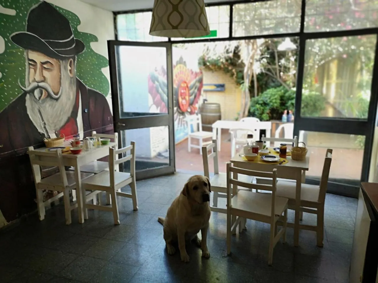 Sosahaus Hostel Mendoza Argentina